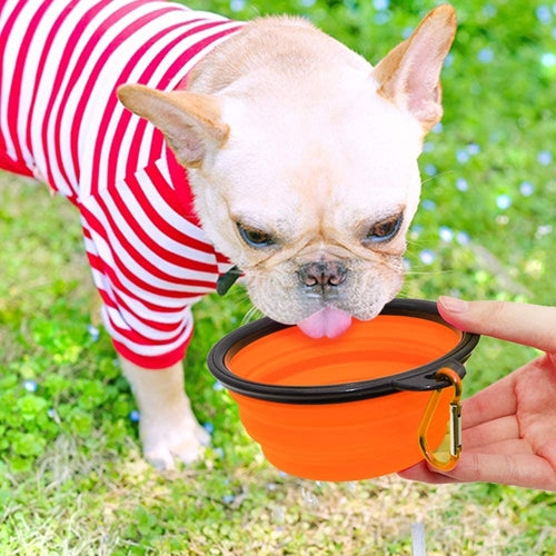 5" Portable and Foldable Small Dog Bowl-Orange