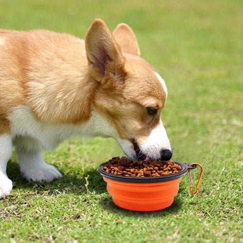 5" Portable and Foldable Small Dog Bowl-Orange